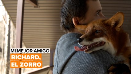 Mi mejor amigo: el zorro