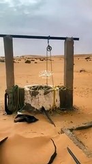 Islamic shorts clips