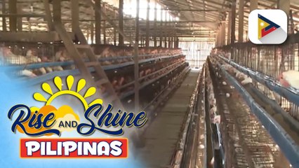 Tarlac, nagatibo sa bird flu
