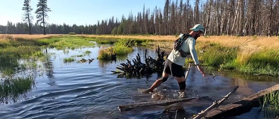 Pacing the Pacific | movie | 2023 | Official Trailer