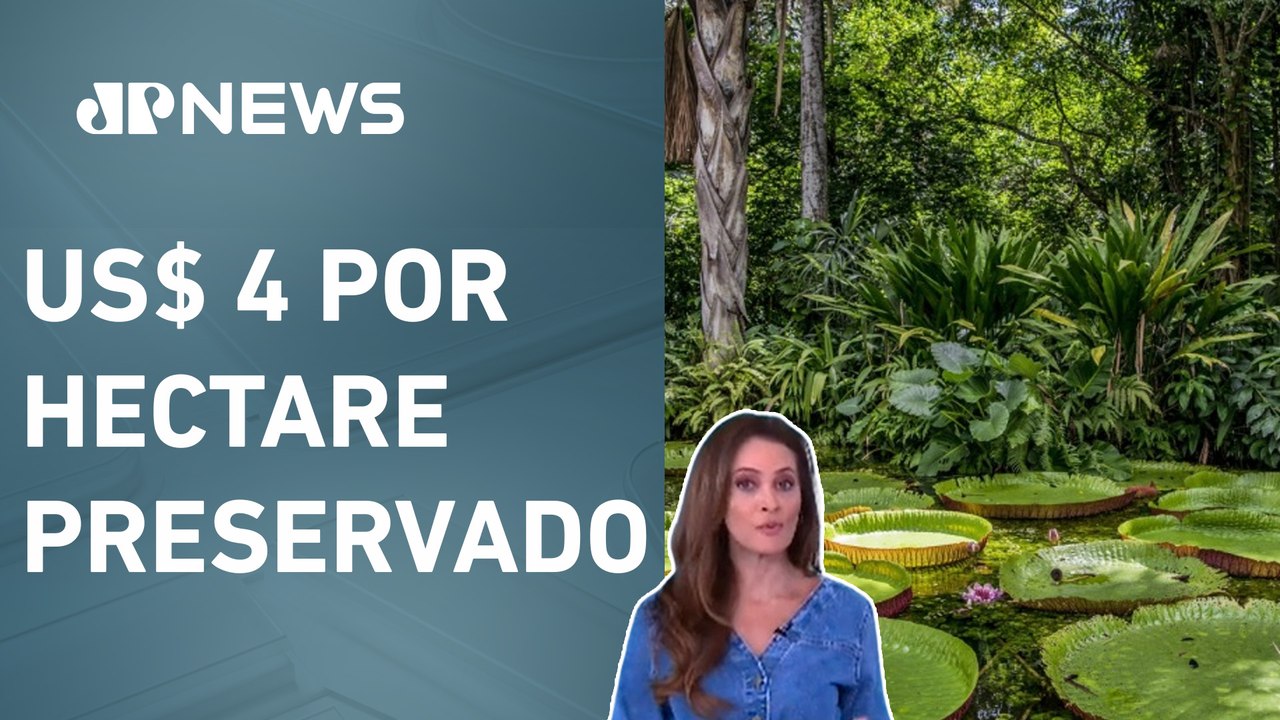 Brasil propõe criação de fundo bilionário para conservar florestas tropicais; Patrícia Costa analisa