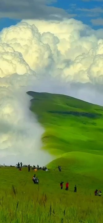 A beautiful meadow connected to a cloud