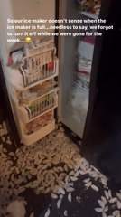 Family Forgets to Turn Off Ice Maker Before Going on Vacation