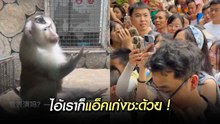 โพสท่าสู้กล้องเจ้าลิงจ๋อลีลาไม่ธรรมดา !