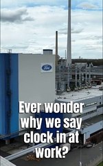 Office Facts: The Hidden Truth About Clock-In ⏰