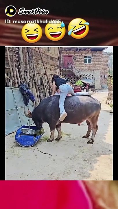 Funny video