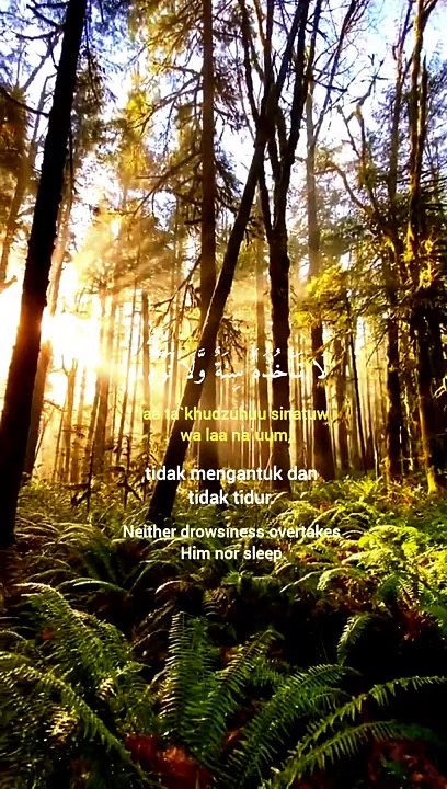 Ayatul kursi with translation آیتالکرسی#alquran#islamic video#islam