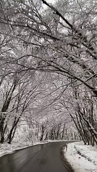 God's Nature