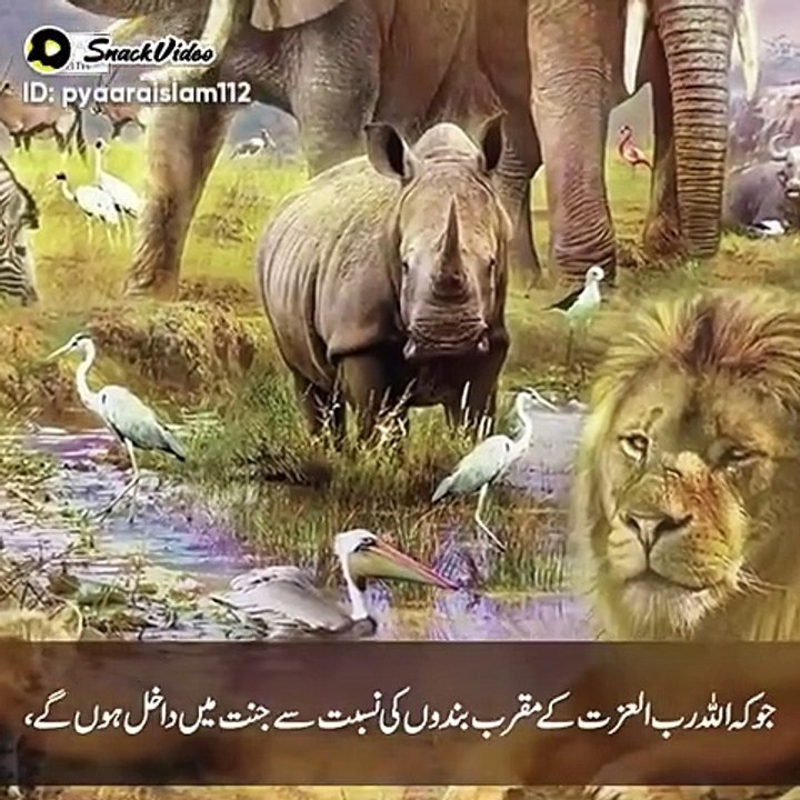 Janati animals