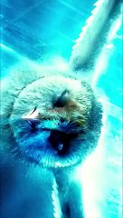 best quality Editing