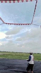 Merpati pantauan istimewa