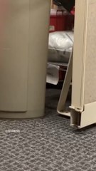 Me getting rejected lol