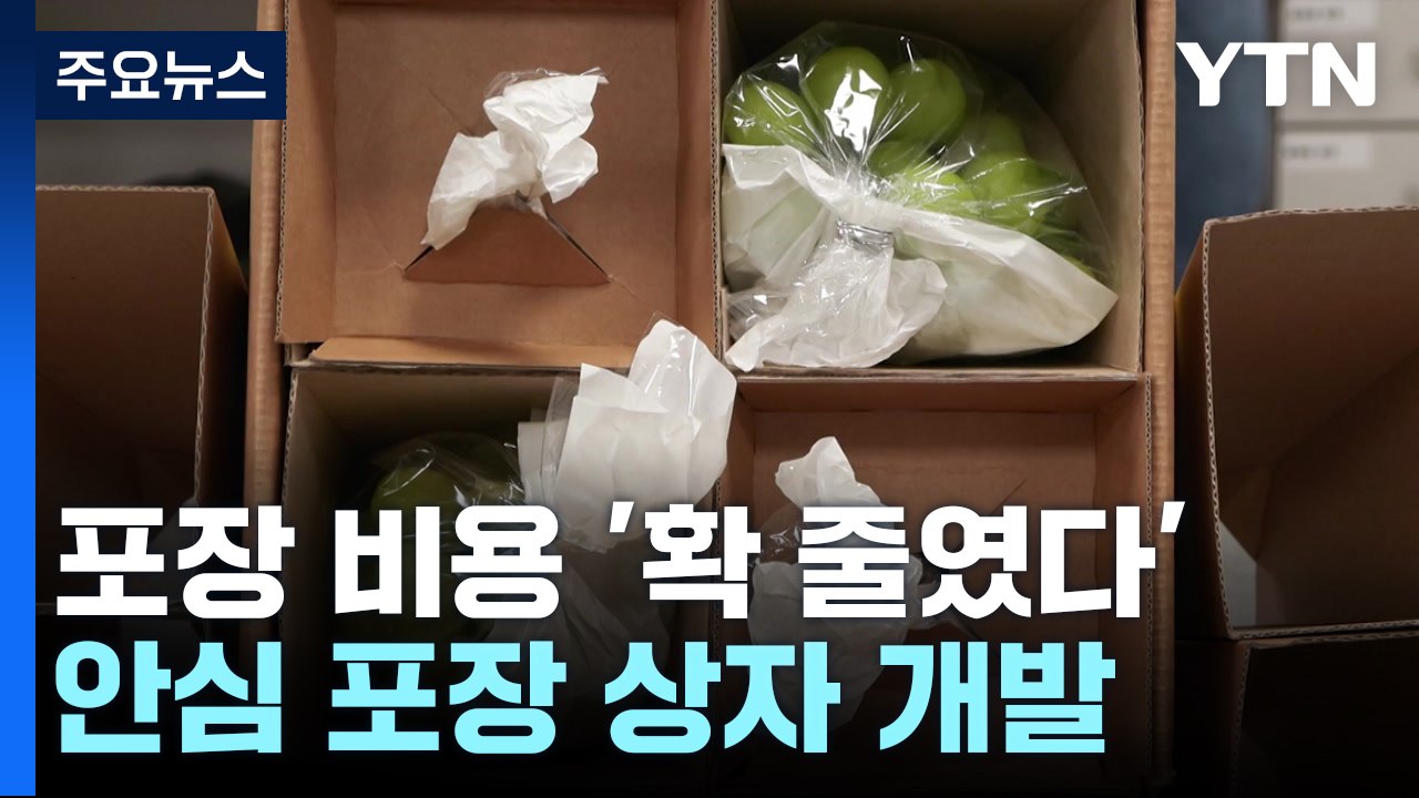 [녹색] "포도 배송 맡겨주세요"...안심 포장 상자 개발 / YTN