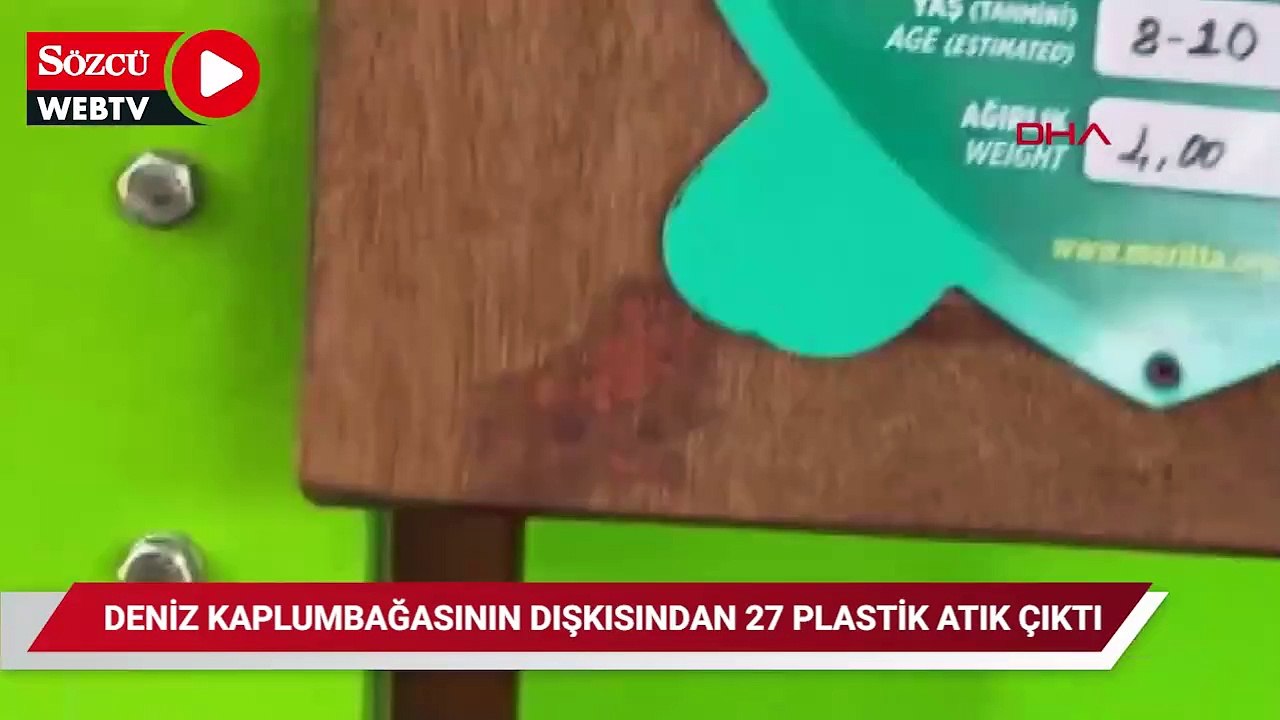 Balık ağlarına dolanan deniz kaplumbağasının dışkısında 27 plastik atık