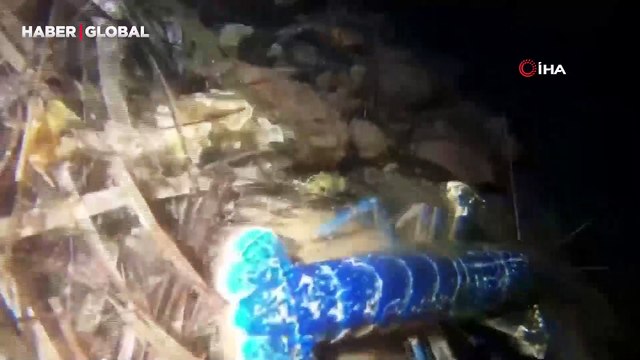 Dünya çapında 200 milyonda bir görülen canlı Ayvalık'ta kameraya yakalandı!