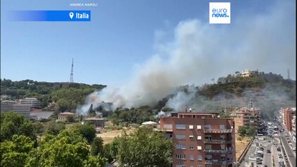 Los incendios forestales continúan ardiendo en Europa en plena la ola de calor