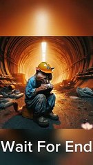 the cat became an engineer