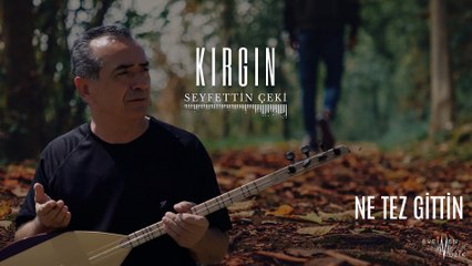Seyfettin Çeki - Ne Tez Gittin (Official Audio)