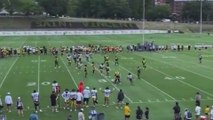 Steelers camp erupts in brawl after late hit on QB Justin Fields; O-line defends star quarterback