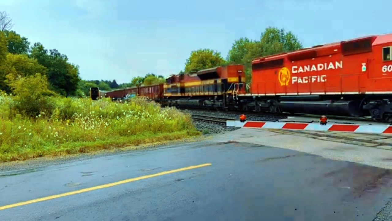 Carriage Train
