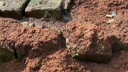 Tekirdağ sahilini kırmızı yosun kapladı