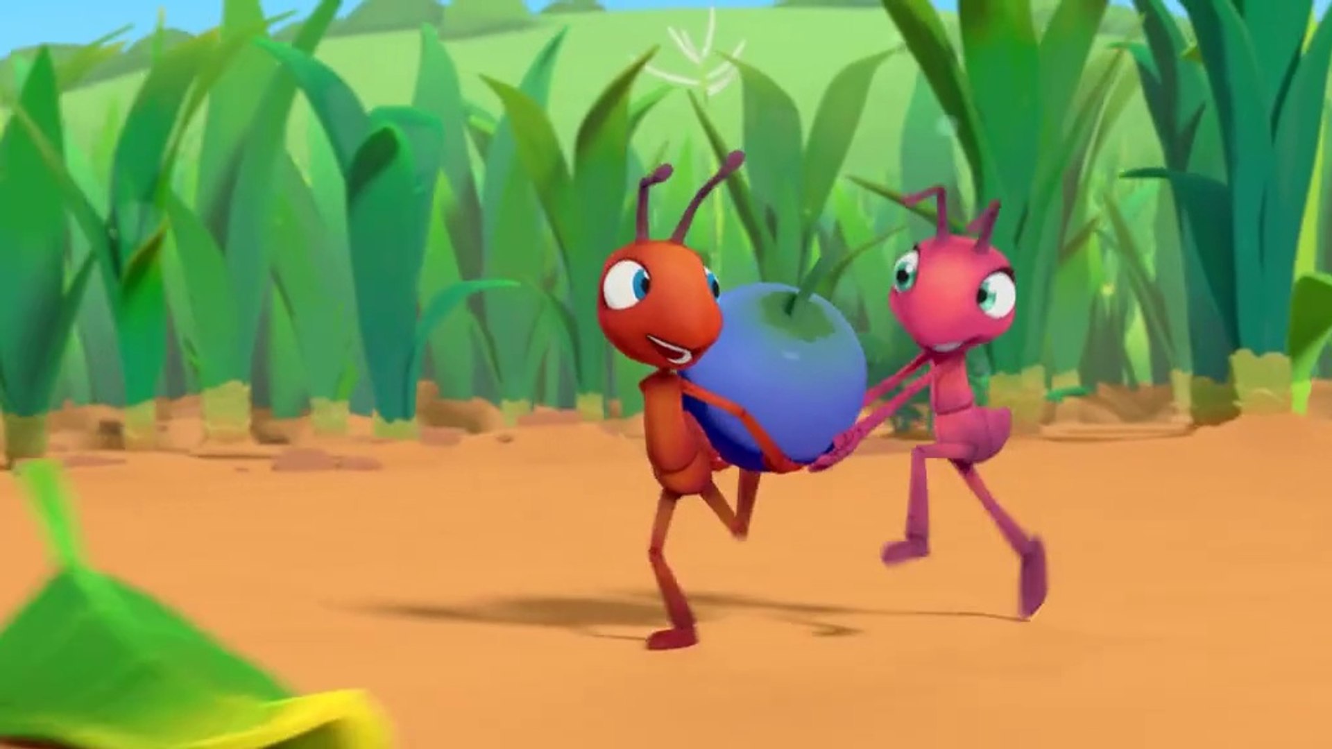 ⁣Funny Ants