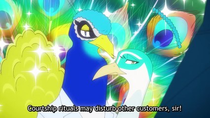 'The Concierge' tráiler subtitulado en inglés