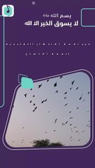 بسم الله ماشاء الله