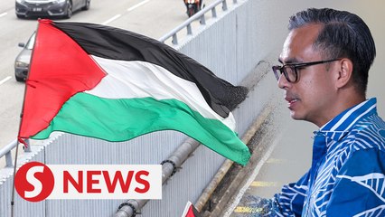 Скачать видео: Bipartisan rally in solidarity with Palestine to be held on Aug 4, says Fahmi