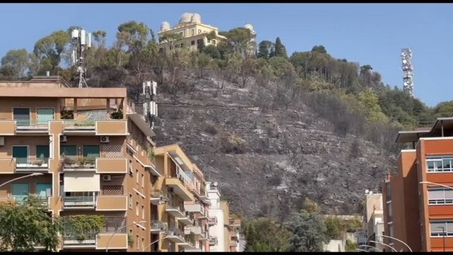 A Roma l'incendio a Monte Mario ha devastato il versante su via Teulada