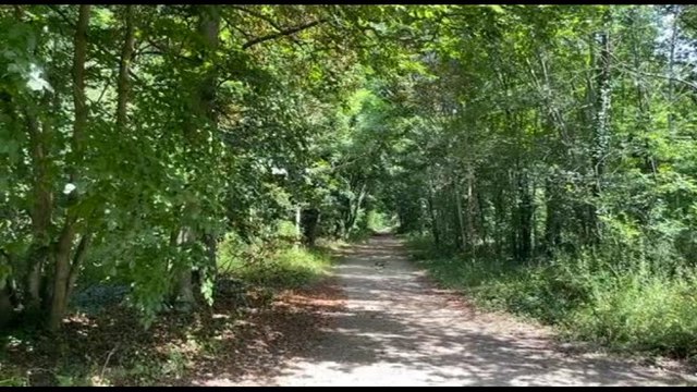 Parigi 2024, la città e il bosco: l'anima selvatica dei Giochi