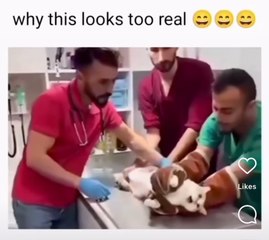 why this looks too real 