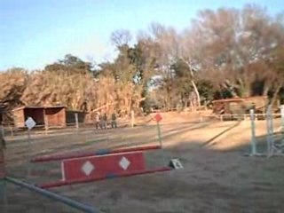 Concour dimanche 16 decembre 2007 intra club miramas