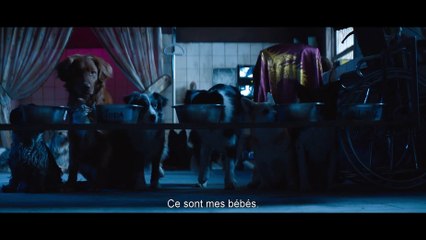 Dogman - Official Trailer 🎬