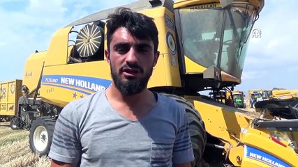 Diyarbakırlı biçerciler, Muş Ovasında mesaiye başladı