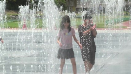 [네트워크] "물놀이·음악과 함께 더위 탈출"...정읍 물빛축제 개막 / YTN