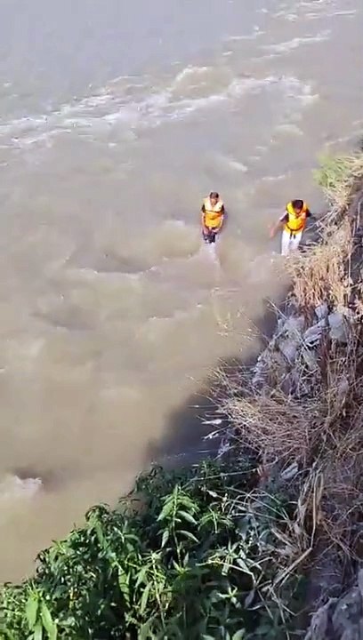 Volunteers