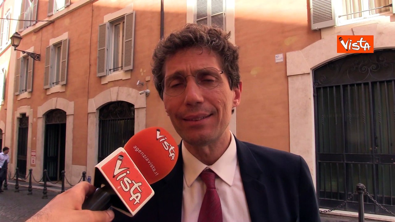 Dl Sicurezza, Magi (+Europa): "Furia proibizionista del Governo contro la cannabis light"