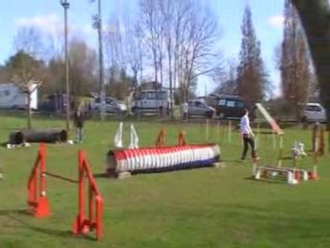 Artéïs préselection edf brives jumping