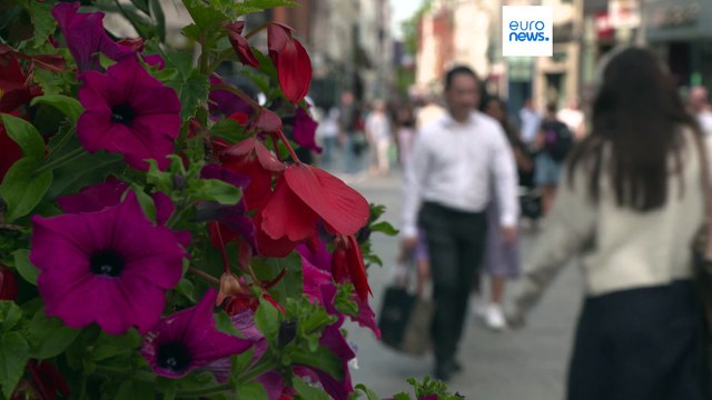 Ирландия снижает соцвыплаты украинским беженцам