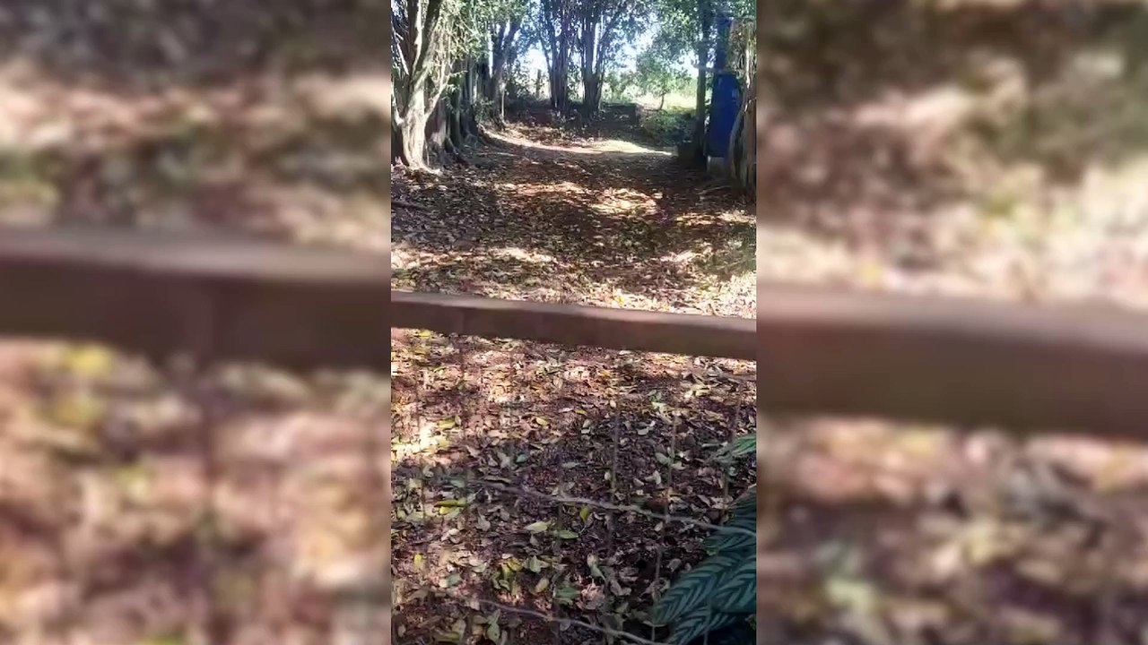 Casal de falsos médicos são presos pela Polícia Civil de Toledo