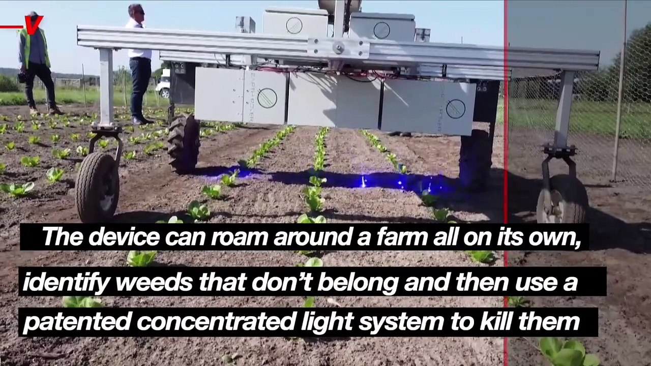 AI-Powered Robot Farmer Uses AI and Concentrated Light to Kill Weeds Without Weed Killers