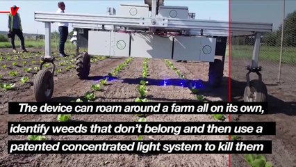 AI-Powered Robot Farmer Uses AI and Concentrated Light to Kill Weeds Without Weed Killers