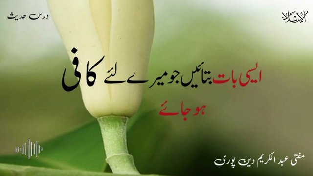 Aisi Bat Batain Jo Mere Lye Kafi Hujaye | Mufti Abdul Karim Den Puri | 01-08-2024