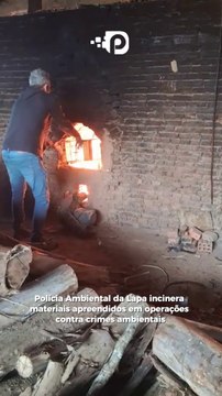Polícia Ambiental da Lapa incinera materiais apreendidos em operações contra crimes ambientais