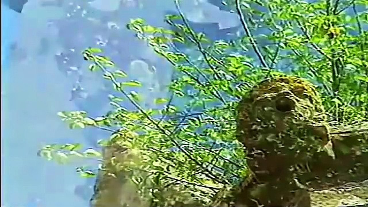 Cátaros: El Movimiento Filosófico-Religioso de los "Buenos Hombres" en el Siglo X