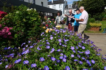 Britain in Bloom floral judges enjoy a 'wonderful' walkabout of Saundersfoot