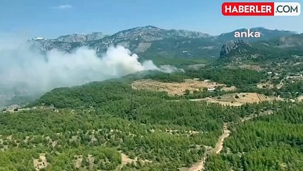 Antalya'nın Serik ilçesinde orman yangını çıktı
