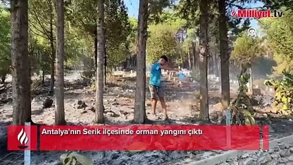 Serik ilçesinde orman yangını çıktı