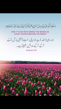 یعنی بارش کے آگے آگے ہوائیں بھیجتا ہے ❤️#trending#viral#shorts#islamic#foryou#dailymotion#share